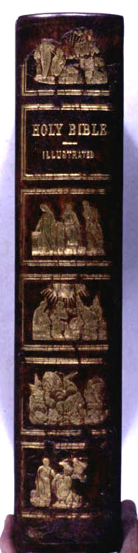 Holy Bible - Illustrated 2